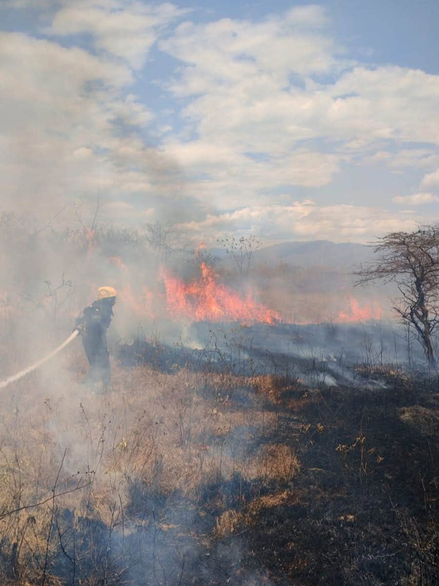 Bombero Voluntario de Gigante controlando un incendio forestal en el sector del Laberinto